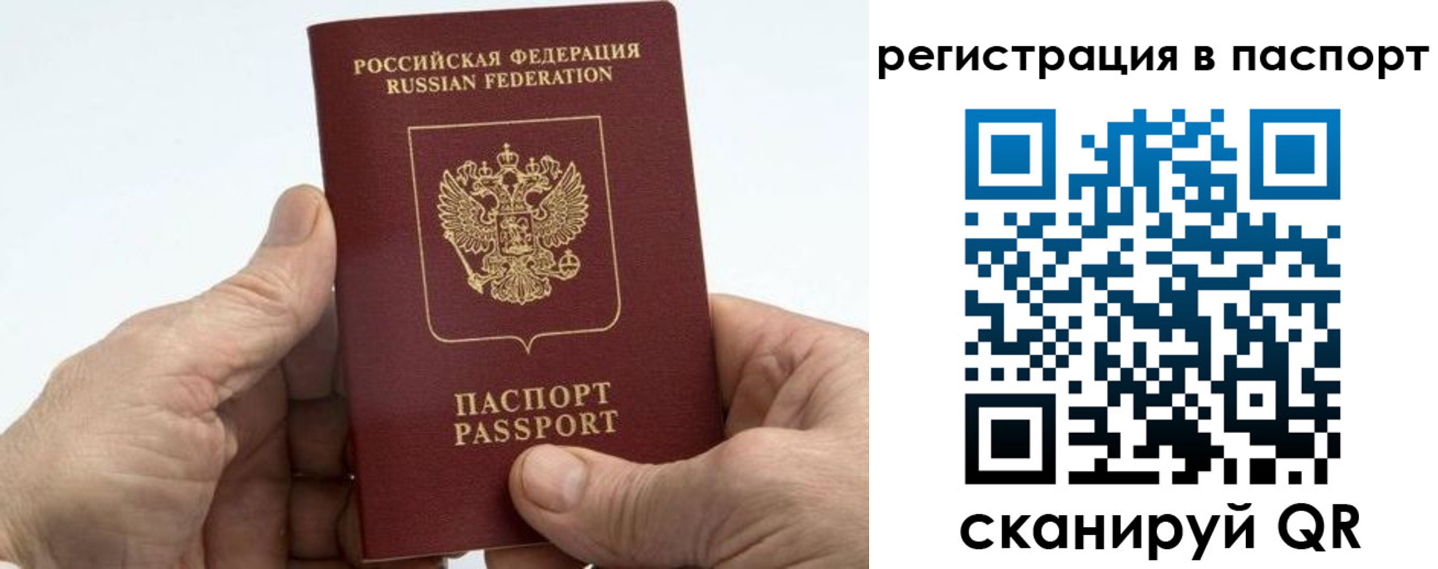 купить прописку в Кольчугино