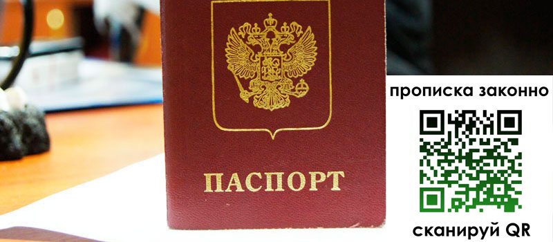 прописка в Кольчугино